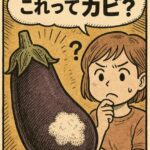 ナスに白い綿毛…これってカビ？食べても大丈夫？見分け方と対処法
