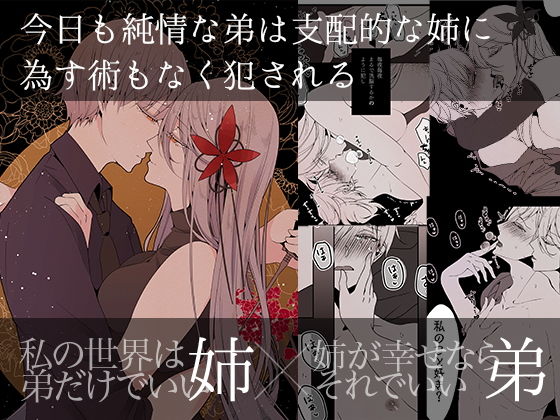 今日も純情な弟は支配的な姉に為す術もなく犯●れる Re:❤-一宙二星退廃・背徳・インモラル