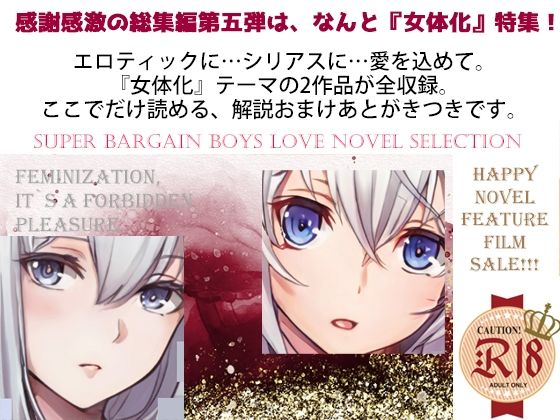 スパイダーリコリスFANZA限定総集編5女体化SPECIAL・牝騎士団長レオナード三部作・メス犬娼婦クラウディアシリーズ❤-スパイダーリコリス辱め