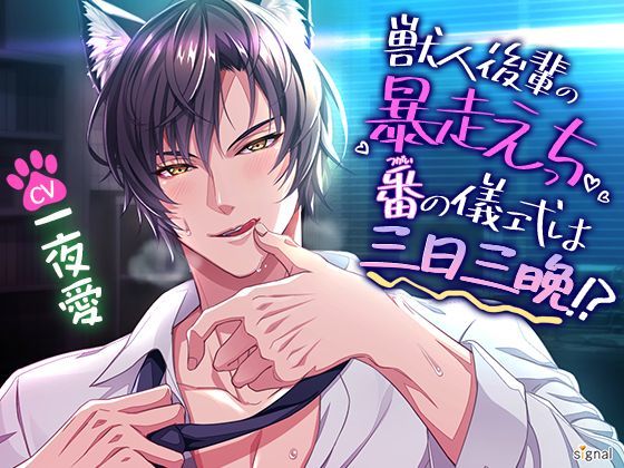 獣人後輩の暴走えっち 番（つがい）の儀式は三日三晩！？❤-signalオフィス・職場