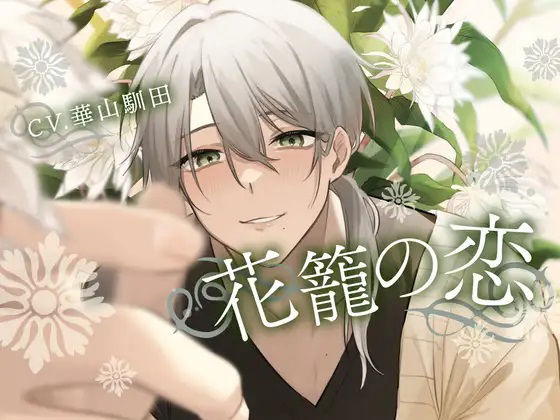 【丁寧言葉のお兄さんとダメになる3時間】花籠の恋【KU100】❤-斉藤しおん中出し