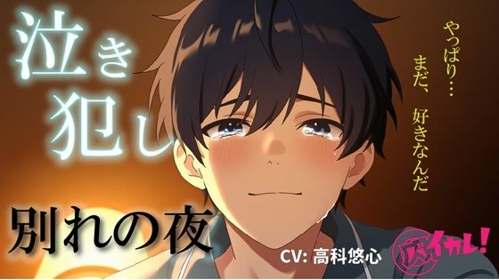 泣き犯し〜 同棲解除日記 ― 最後の夜、僕たちは涙を流しながら身体を重ねた 〜 ASMR/バイノーラル/泣きエッチ/カップル/日常/別れ/感動/あまあま/中出し❤-ヨルマガ！ -ASMR Night Life Media-中出し