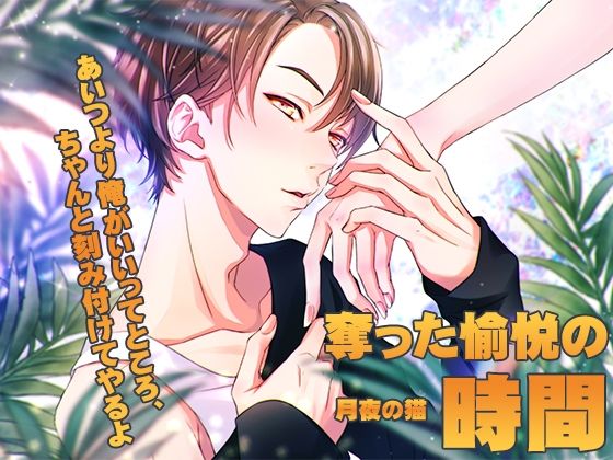 奪った愉悦の時間❤-月夜の猫TL（ティーンズラブ）