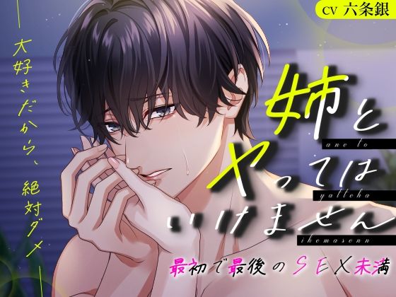 姉とヤってはいけません 最初で最後のSEX未満─大好きだから、絶対ダメ─❤-おふとんハムスタークンニ