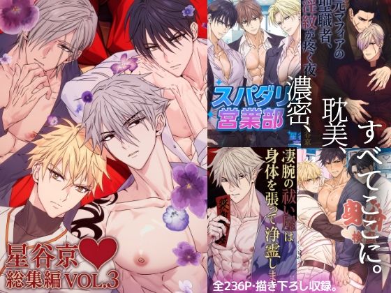 星谷京総集編 VOL.3❤-星谷京拘束