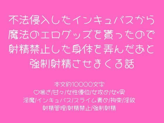 不法侵入したインキュバスから魔法のエログッズを貰ったので射精禁止した身体を弄んだあと強●射精させまくる話❤-こそこそ倉庫拘束